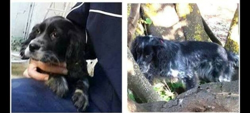 &Chi;ά&theta;&eta;&kappa;&epsilon; &mu;&alpha;ύ&rho;&omicron; &gamma;&kappa;&rho;&iota; &Sigma;έ&tau;&tau;&epsilon;&rho;, &Beta;&alpha;&rho;&upsilon;&mu;&pi;ό&mu;&pi;&eta;