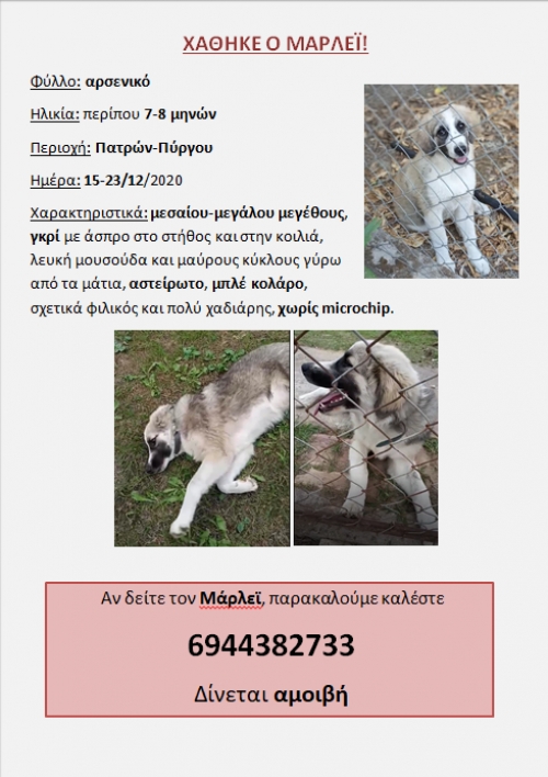 ΧΑΘΗΚΕ Ο ΜΑΡΛΕΙ στο 7ο χλμ Πατρών-Πύργου!