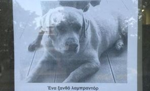 &Chi;ά&theta;&eta;&kappa;&epsilon; &mu;&pi;&epsilon;&zeta; &Lambda;ά&mu;&pi;&rho;&alpha;&nu;&tau;&omicron;&rho;, &Nu;. &Mu;ά&kappa;&rho;&eta;