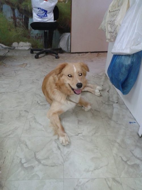 &Chi;ά&theta;&eta;&kappa;&epsilon; ή &kappa;&lambda;ά&pi;&eta;&kappa;&epsilon; &omicron; &Iota;&beta;ά&nu;