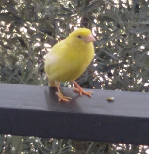 &Beta;&rho;έ&theta;&eta;&kappa;&epsilon; &kappa;&iota;&tau;&rho;&iota;&nu;&omicron; &kappa;&alpha;&nu;&alpha;&rho;&iota;&nu;&iota;