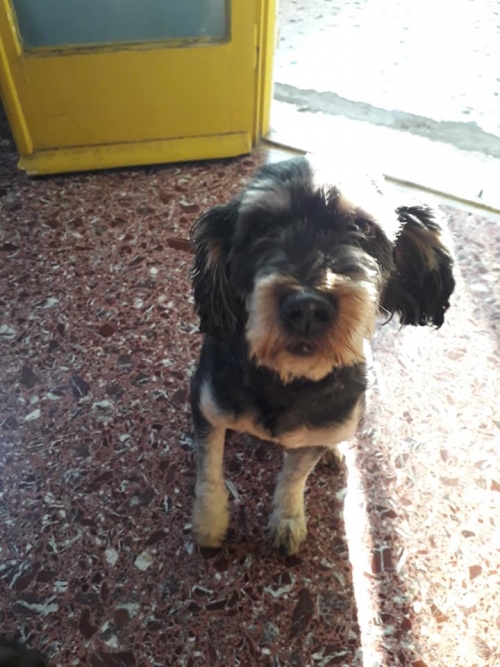 Χαθηκε ο Ερμης