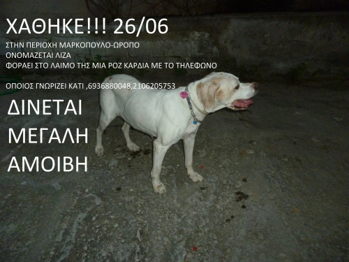 &Chi;ά&theta;&eta;&kappa;&epsilon; &lambda;&epsilon;&upsilon;&kappa;ό &mu;&pi;&epsilon;&zeta; &theta;&eta;&lambda;&upsilon;&kappa;ό, &Mu;&alpha;&rho;&kappa;ό&pi;&omicron;&upsilon;&lambda;&omicron;-&Omega;&rho;&omega;&pi;ό