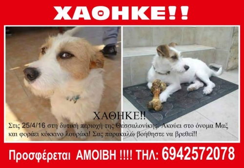 &Chi;ά&theta;&eta;&kappa;&epsilon; &Tau;&epsilon;&rho;&rho;&iota;έ, &Theta;&epsilon;&sigma;&sigma;&alpha;&lambda;&omicron;&nu;ί&kappa;&eta;