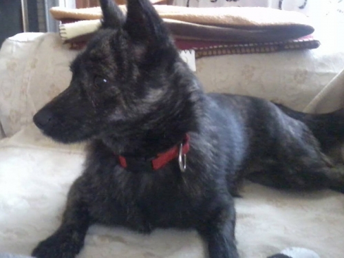 &Chi;ά&theta;&eta;&kappa;&epsilon; &theta;&eta;&lambda;&upsilon;&kappa;ό &Pi;ί&nu;&sigma;&epsilon;&rho;, &Tau;&alpha;&tau;ό&iota;