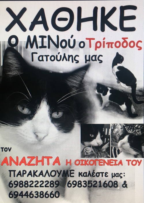 Χάθηκε τρίποδος γατούλης