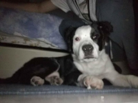 &Rho;&alpha;&omicron;ύ&lambda;